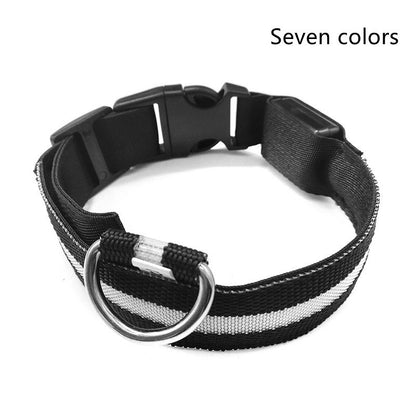 LED Luminous Pet Collar & Leash