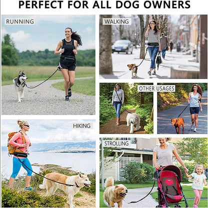 Hands-Free Dog Leash with Bungee for Large Dogs