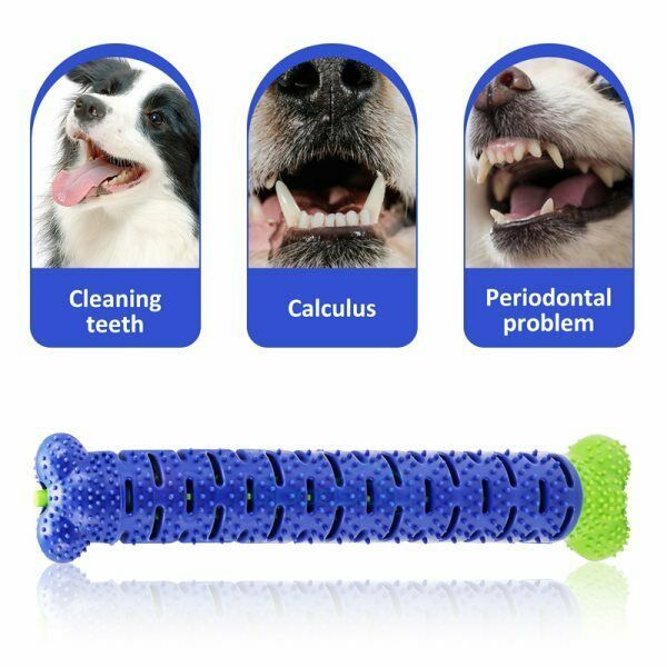 Dog Toothbrush Chew Toy