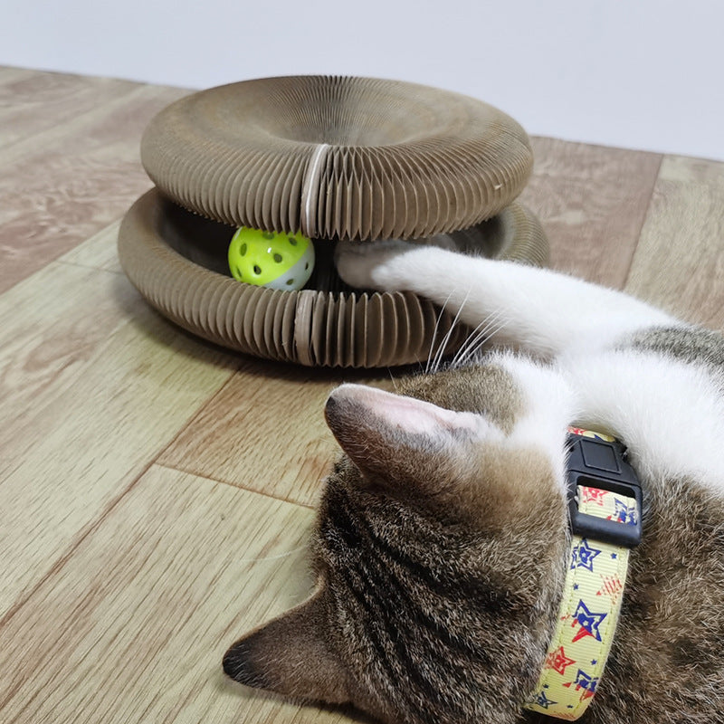 Magic Organ Cat Scratcher