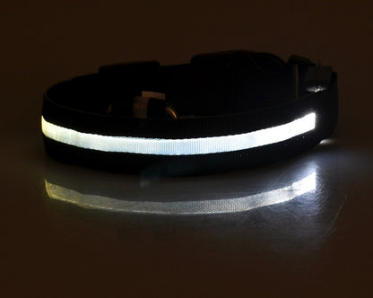 LED Luminous Pet Collar & Leash