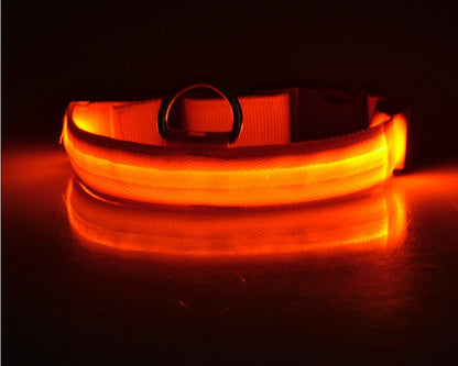 LED Luminous Pet Collar & Leash