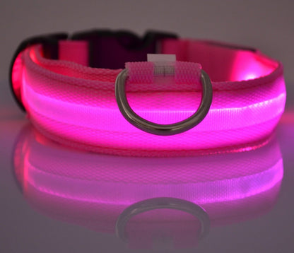 LED Luminous Pet Collar & Leash