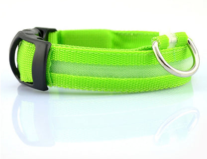 LED Luminous Pet Collar & Leash