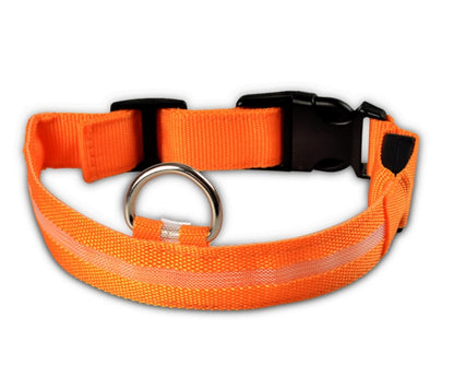 LED Luminous Pet Collar & Leash