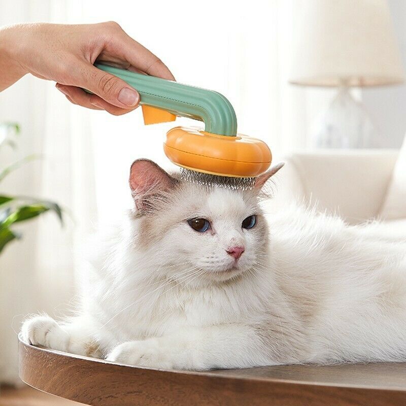 Pet Pumpkin Self-Cleaning Grooming Brush