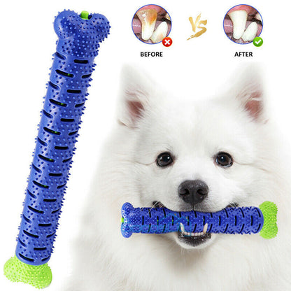 Dog Toothbrush Chew Toy