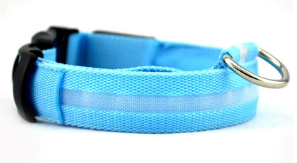 LED Luminous Pet Collar & Leash