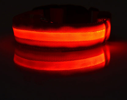 LED Luminous Pet Collar & Leash