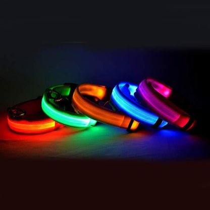 LED Luminous Pet Collar & Leash