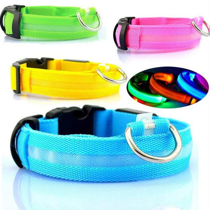 LED Luminous Pet Collar & Leash