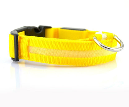 LED Luminous Pet Collar & Leash