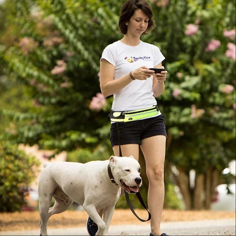 Hands-Free Dog Leash with Bungee for Large Dogs