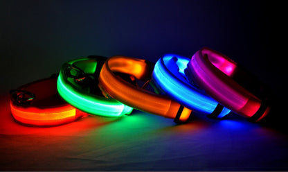 LED Luminous Pet Collar & Leash