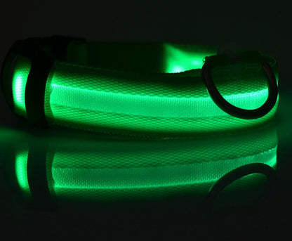 LED Luminous Pet Collar & Leash