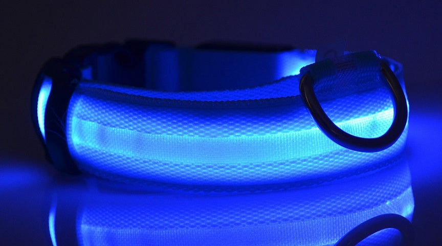 LED Luminous Pet Collar & Leash