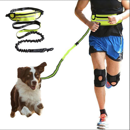 Hands-Free Dog Leash with Bungee for Large Dogs