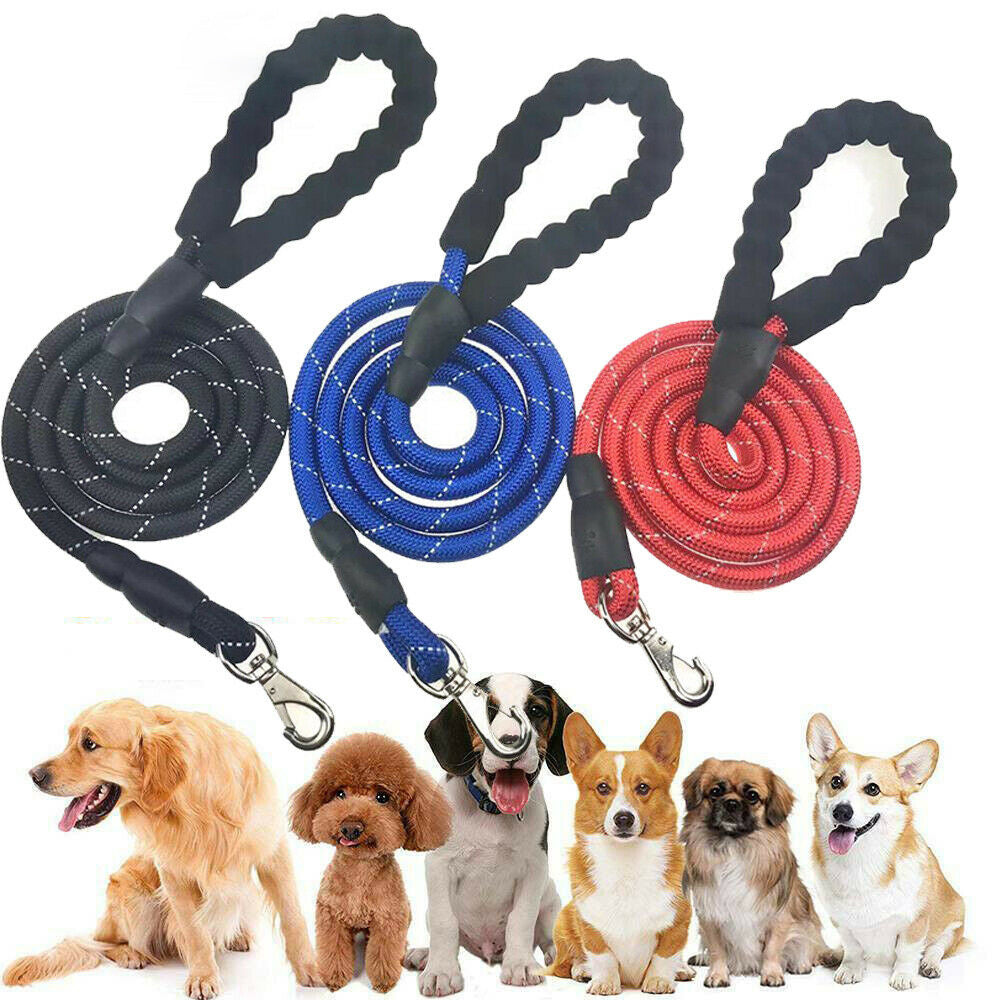 Elastic Jogging Dog Leash