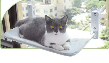 Cat Suction Cup Window Hammock