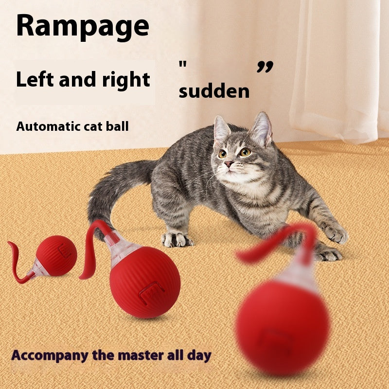 Interactive Cat Toy Roller Ball