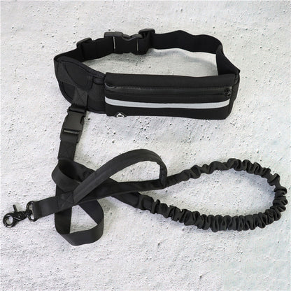 Hands-Free Dog Leash with Bungee for Large Dogs