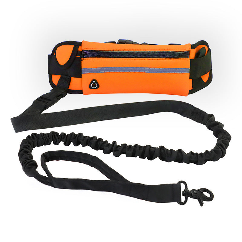 Hands-Free Dog Leash with Bungee for Large Dogs