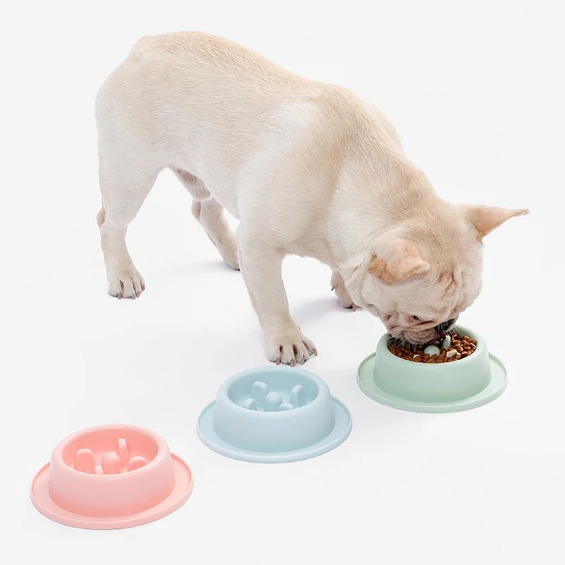 Interactive Slow Feeder Dog Bowl