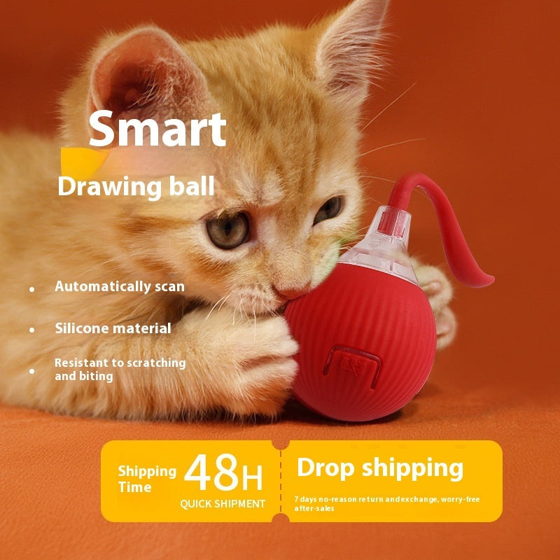 Interactive Cat Toy Roller Ball