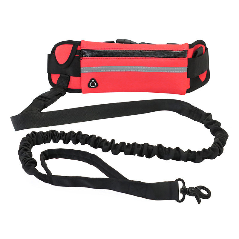 Hands-Free Dog Leash with Bungee for Large Dogs