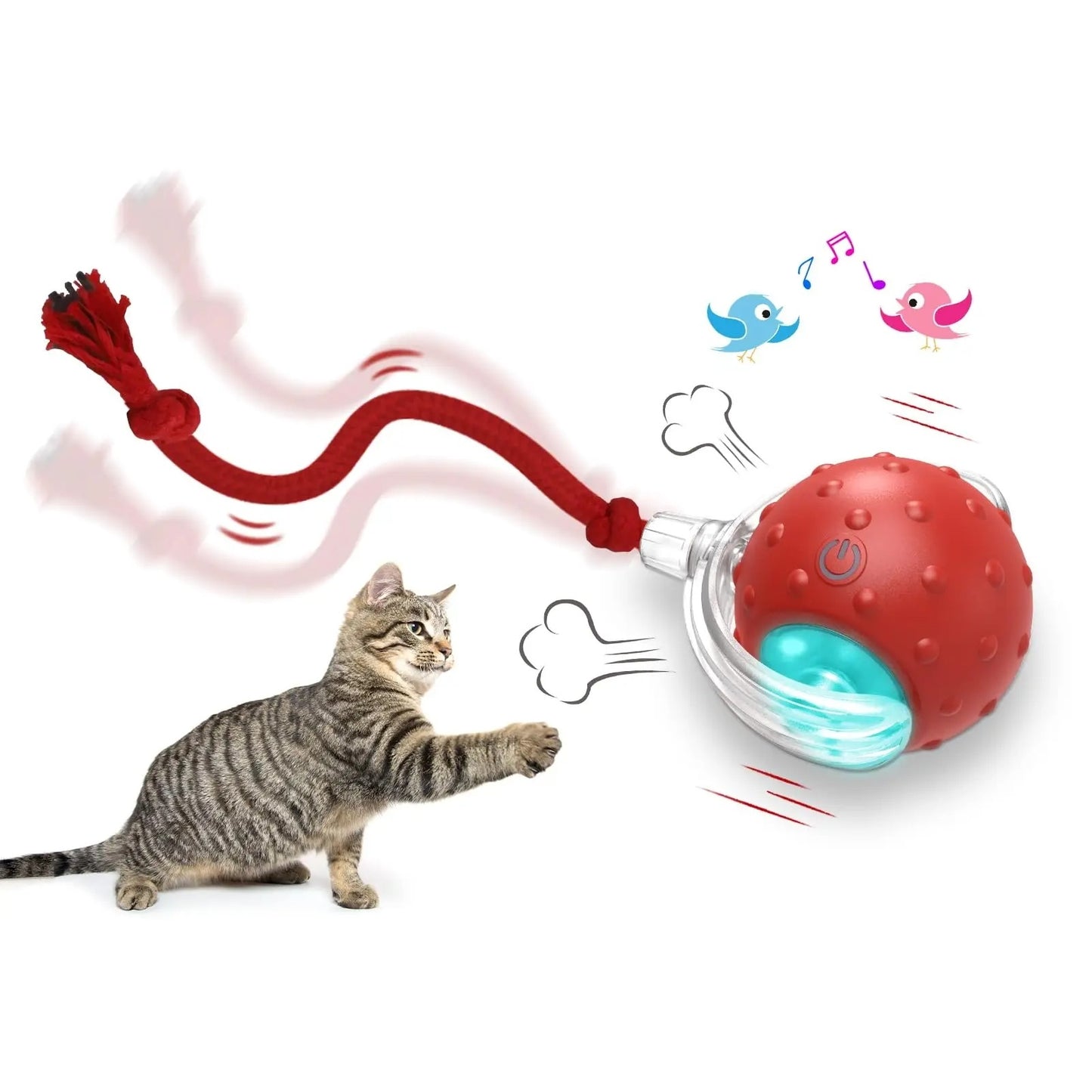 Interactive Cat Toy Roller Ball